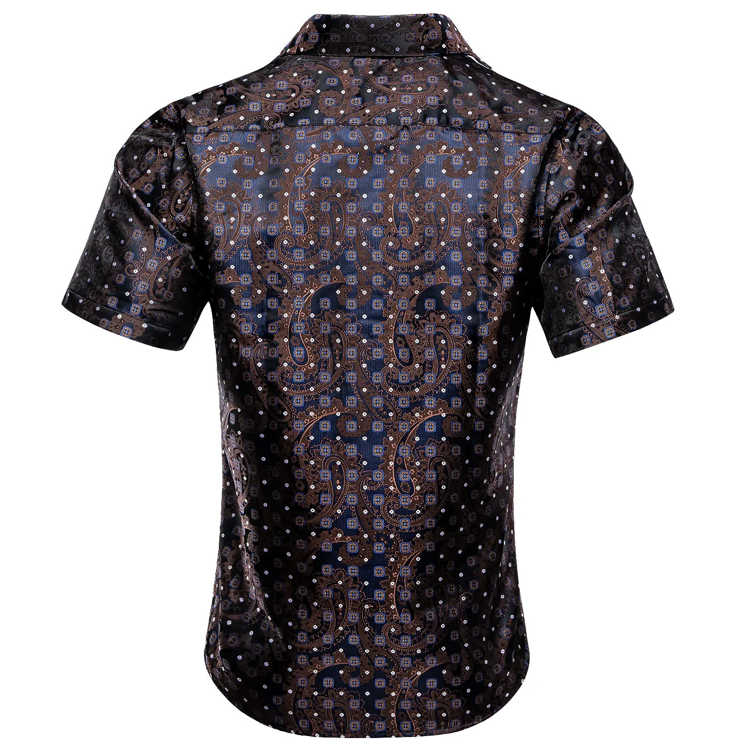 Hi-Tie Blue Brown Novelty Paisley Silk Men's Short Sleeve Dress Shirt