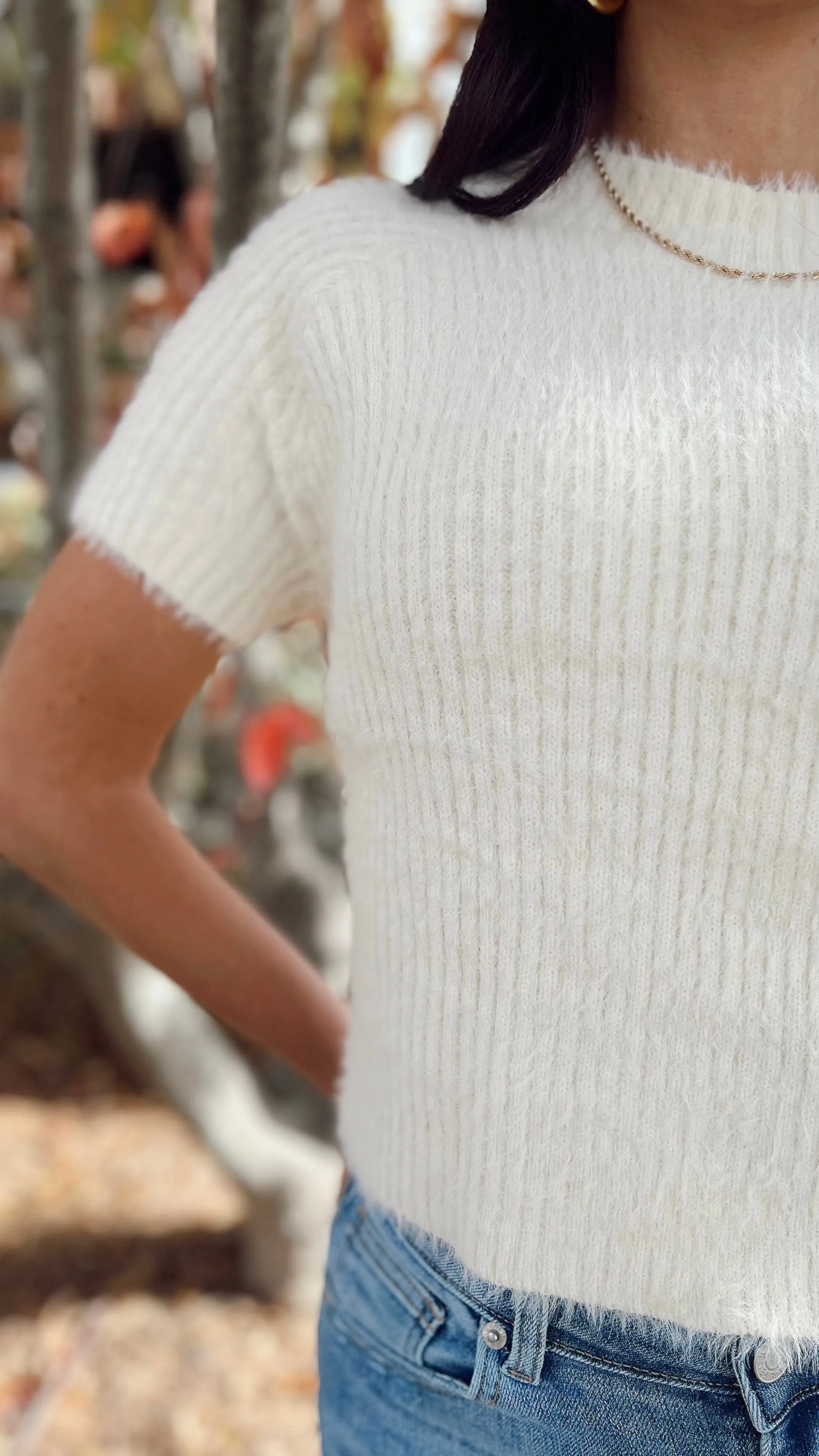 Ruby Ribbed Short Sleeve Sweater